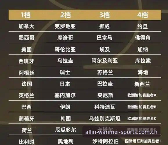 完美体育平台官网 资深球迷分享观察:世界杯门票在手,签证却成最大变数
